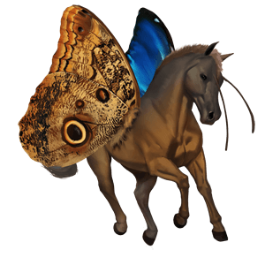 cheval de selle arabe bai