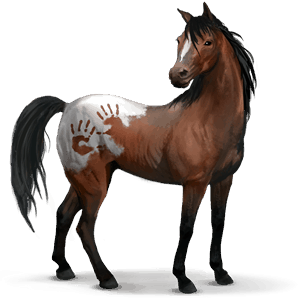 cheval sauvage spanish mustang
