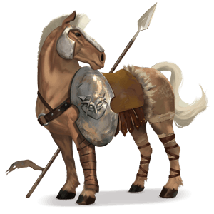 cheval de selle arabe gris pommelé