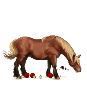 cheval de selle cheval islandais rouan