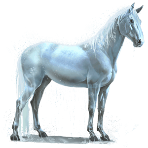 cheval de l'eau pluie