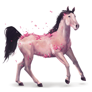 cheval des pierres précieuses quartz
