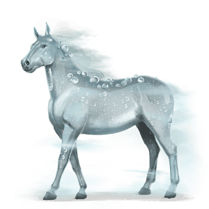 cheval de l'eau rosée