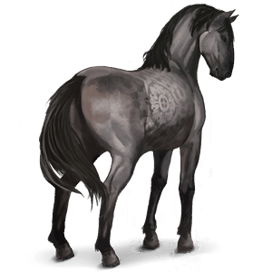 cheval sauvage sorraia