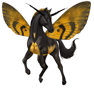 cheval de selle arabe isabelle