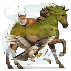cheval de selle arabe bai brûlé