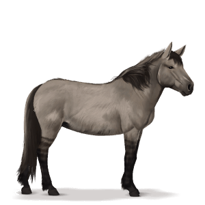 cheval préhistorique tarpan