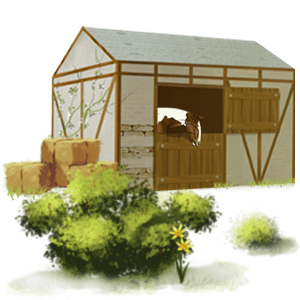 cheval de selle holstein bai