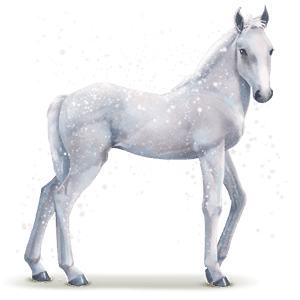 cheval de l'eau flocon