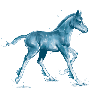 cheval de l'eau océan