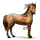 cheval nomade civilisation cochise