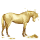 cheval nomade fortune