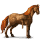 cheval nomade dieu héphaïstos