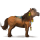 cheval de selle arabe rouan
