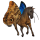 cheval nomade morpho bleu