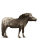 cheval nomade patience