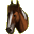les chevaux préférés