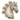 pions de crinière