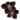 orchidée noire