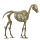cheval de selle squelette