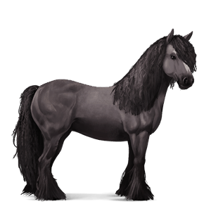 cheval de selle shagya gris truité