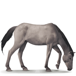 cheval sauvage poney dülmen