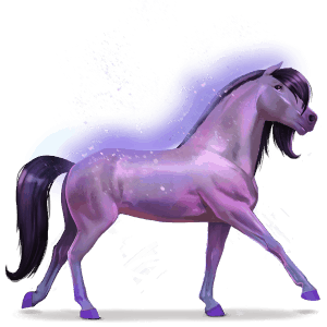cheval de l'arc-en-ciel brave purple