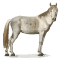 [img=https://gaia.equideow.com/media/equideo/image/chevaux/special/60/adulte/ainos.png]