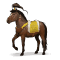 [img=https://gaia.equideow.com/media/equideo/image/chevaux/special/60/adulte/altair.png]