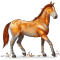 [img=https://gaia.equideow.com/media/equideo/image/chevaux/special/60/adulte/ambre.png]