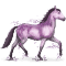 [img=https://gaia.equideow.com/media/equideo/image/chevaux/special/60/adulte/amethyste.png]