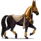 [img=https://gaia.equideow.com/media/equideo/image/chevaux/special/60/adulte/anubis.png]