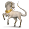 [img=https://gaia.equideow.com/media/equideo/image/chevaux/special/60/adulte/apophis.png]