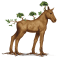 [img=https://gaia.equideow.com/media/equideo/image/chevaux/special/60/adulte/arbre-2.png]