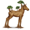 [img=https://gaia.equideow.com/media/equideo/image/chevaux/special/60/adulte/arbre-3.png]