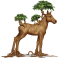 [img=https://gaia.equideow.com/media/equideo/image/chevaux/special/60/adulte/arbre-4.png]