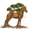 [img=https://gaia.equideow.com/media/equideo/image/chevaux/special/60/adulte/arbre-5.png]