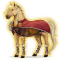 [img=https://gaia.equideow.com/media/equideo/image/chevaux/special/60/adulte/baldr.png]