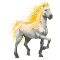 [img=https://gaia.equideow.com/media/equideo/image/chevaux/special/60/adulte/balios-orageux.png]