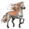 [img=https://gaia.equideow.com/media/equideo/image/chevaux/special/60/adulte/balios-secheresse.png]