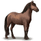 [img=https://gaia.equideow.com/media/equideo/image/chevaux/special/60/adulte/banker.png]