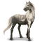 [img=https://gaia.equideow.com/media/equideo/image/chevaux/special/60/adulte/camargue.png]