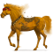 [img=https://gaia.equideow.com/media/equideo/image/chevaux/special/60/adulte/caraway.png]