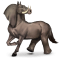 [img=https://gaia.equideow.com/media/equideo/image/chevaux/special/60/adulte/chimerique-elephant.png]