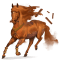 [img=https://gaia.equideow.com/media/equideo/image/chevaux/special/60/adulte/cinnamon.png]