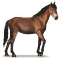 [img=https://gaia.equideow.com/media/equideo/image/chevaux/special/60/adulte/cumberland.png]