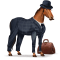 [img=https://gaia.equideow.com/media/equideo/image/chevaux/special/60/adulte/dr-watson.png]