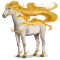 [img=https://gaia.equideow.com/media/equideo/image/chevaux/special/60/adulte/euronotos.png]