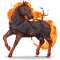 [img=https://gaia.equideow.com/media/equideo/image/chevaux/special/60/adulte/fenrir.png]