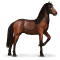 [img=https://gaia.equideow.com/media/equideo/image/chevaux/special/60/adulte/garrano.png]